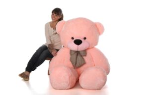 Valentine Week: Teddy Day Gift