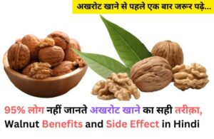 Walnut Benefits and Side Effect in Hindi