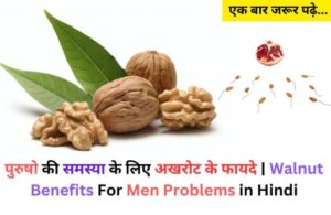 Walnut Benefits and Side Effect in Hindi